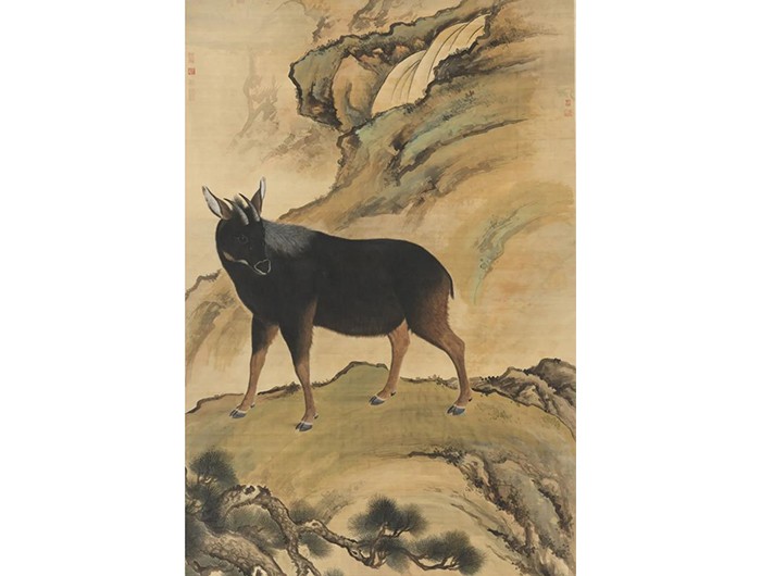 榛勫矖灞卞彂鐜板洓涓嶅儚,鑰佸啘灞变笂鍙戠幇鐨勫洓涓嶅儚