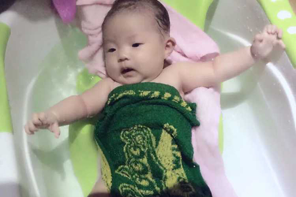 鸽子蛋和鸡蛋的区别在哪里,鸽子蛋和鸡蛋外观怎么区分