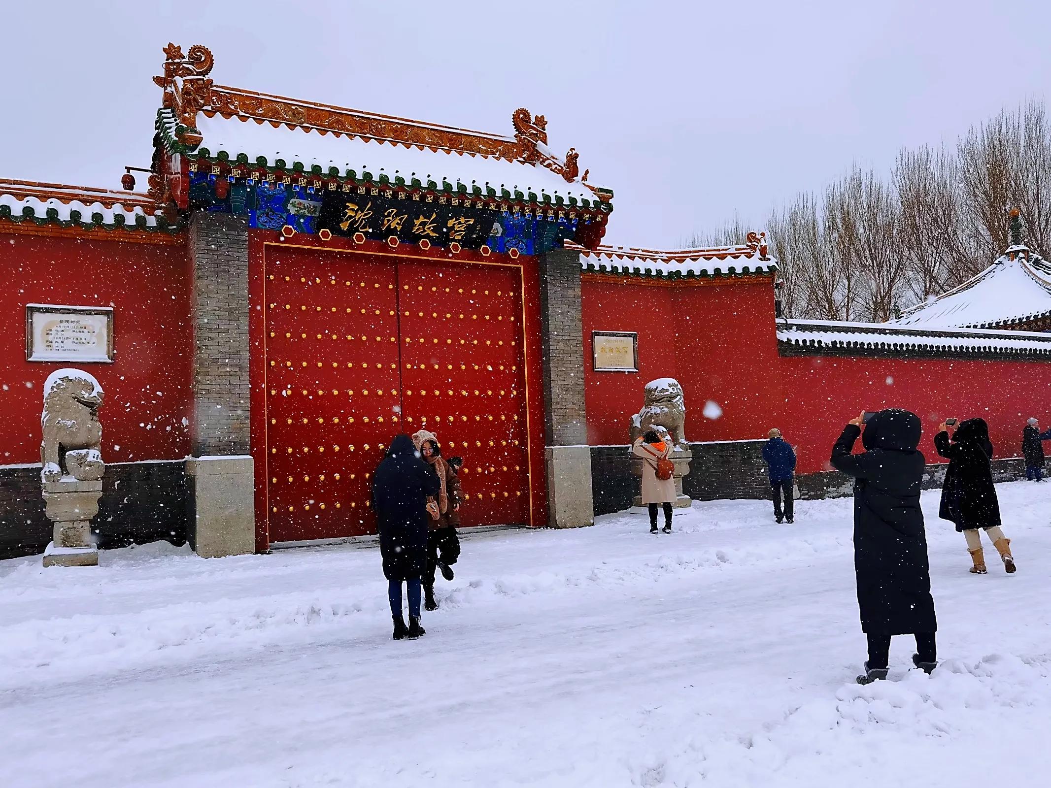 沈阳冬季旅游攻略必玩的景点,沈阳必去的三大景点沈阳森林公园