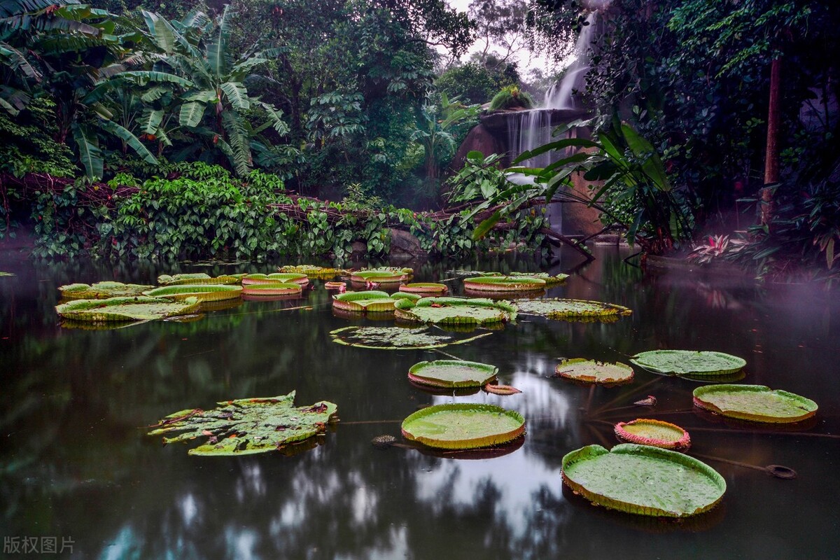 厦门泉州旅游攻略,厦门冬天旅游攻略