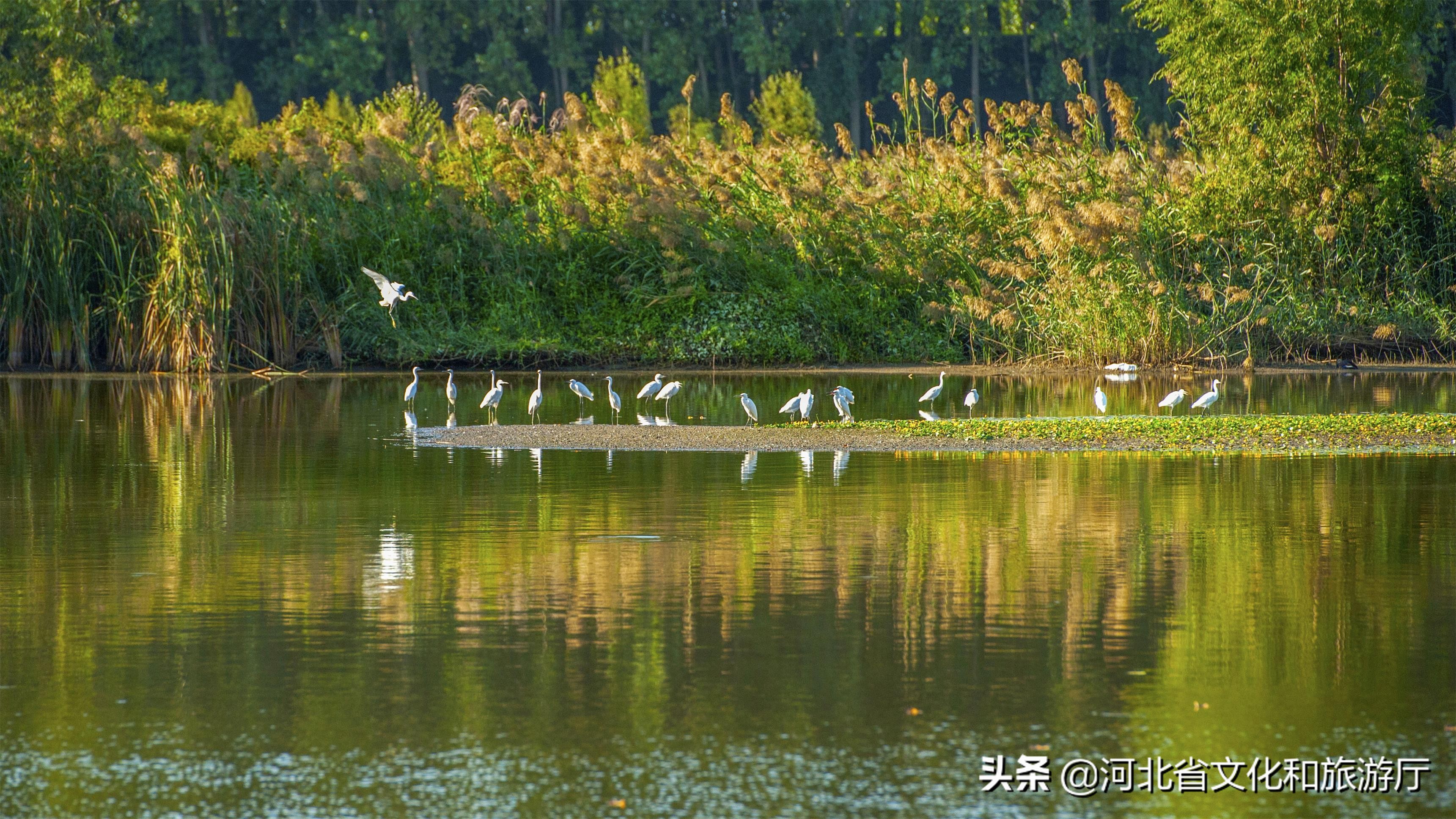 廊坊香河最美景点,廊坊香河运河古韵展新颜