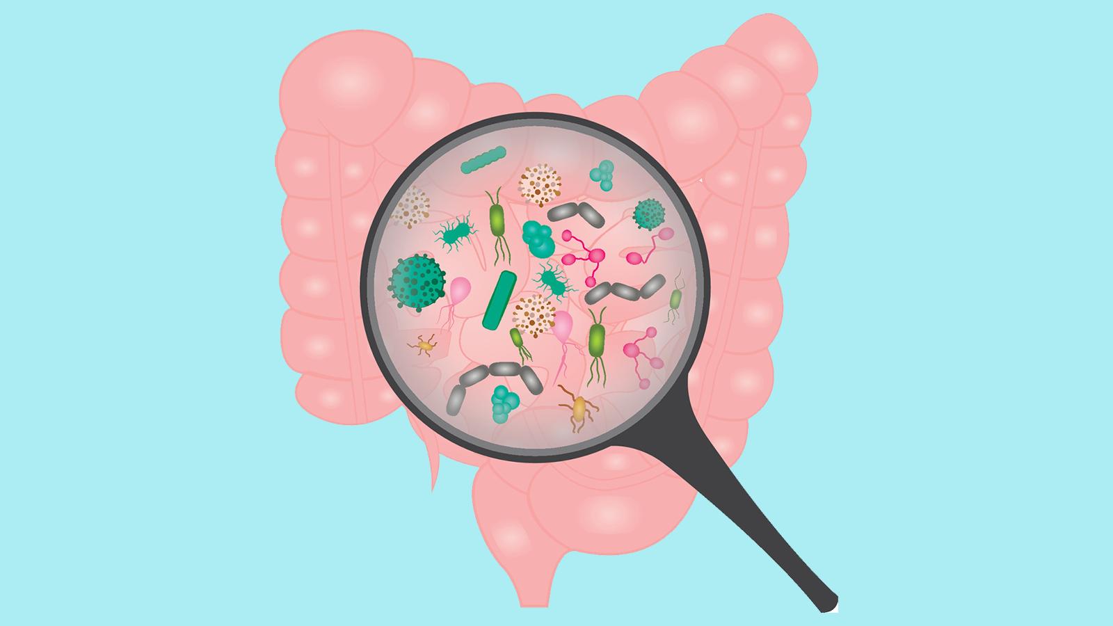 产业大事：利用活菌降草酸，美国公司宣布一期临床好消息