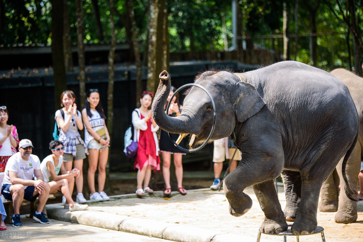 一个人去泰国旅游攻略多少钱,两个人去泰国旅游攻略多少钱合适