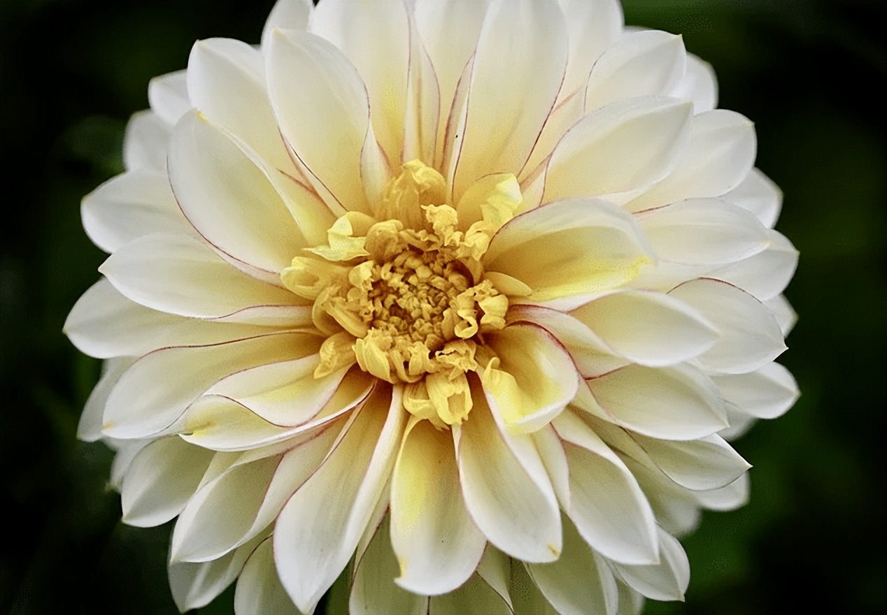 50etf期权分仓靠谱吗,50etf期权交割是什么