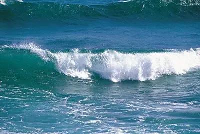 提拔公示时间被举报怎么办,提拔公示期间被举报