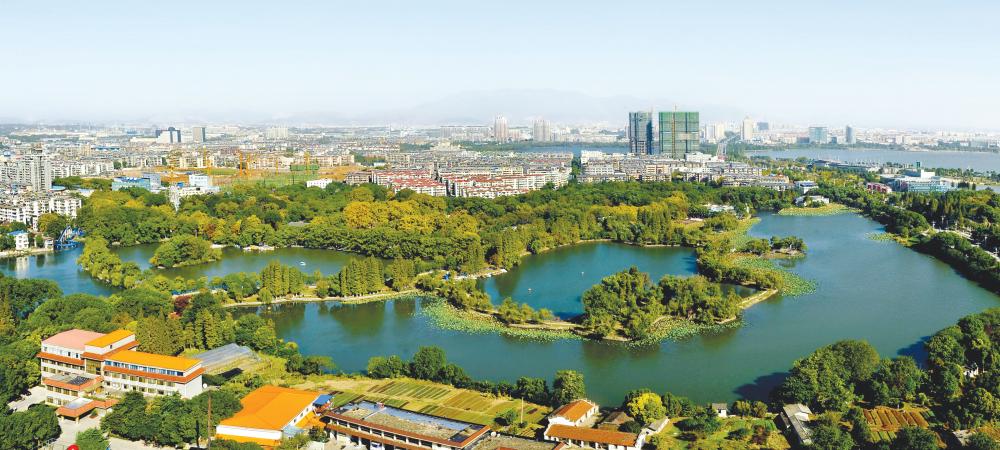 安徽安庆有什么比较大的产业,安庆各个区产业布局