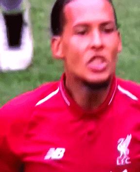 亲历两期银河战舰的拉莫斯与利物浦复兴基石的范戴克，你中意谁？