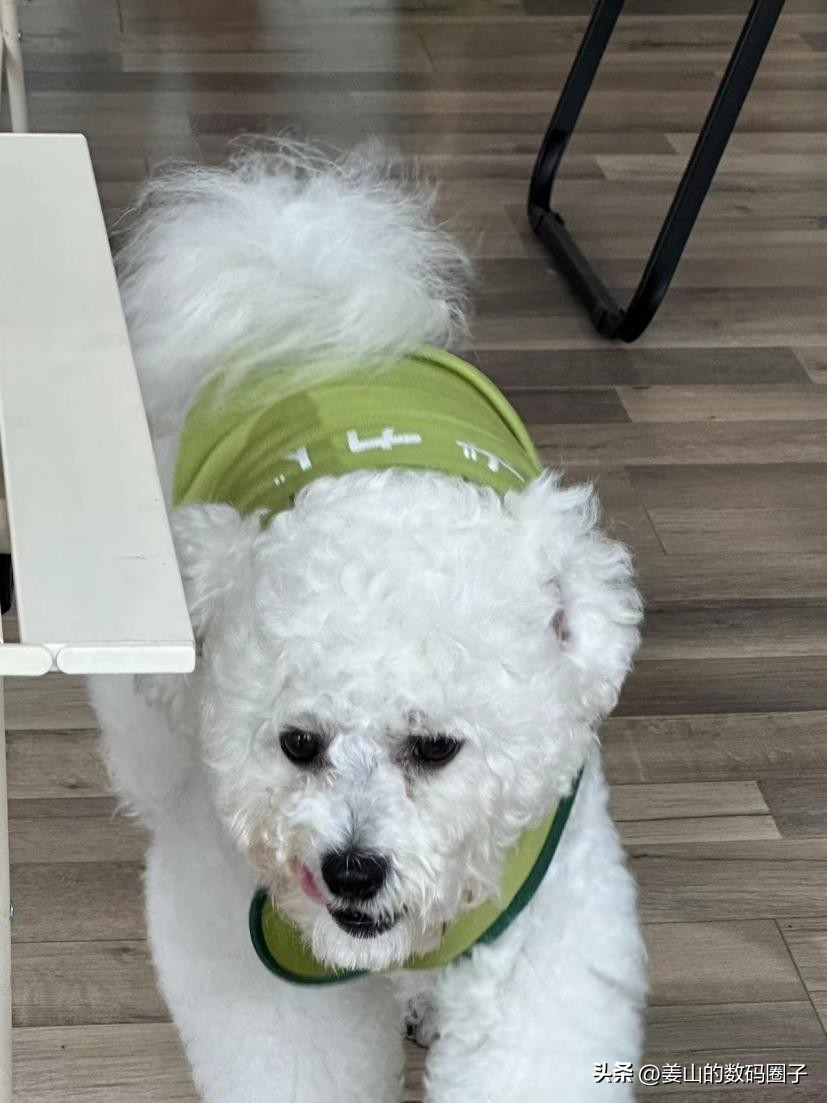 荣耀magic5pro对比苹果14promax,荣耀magic6pro和苹果14promax