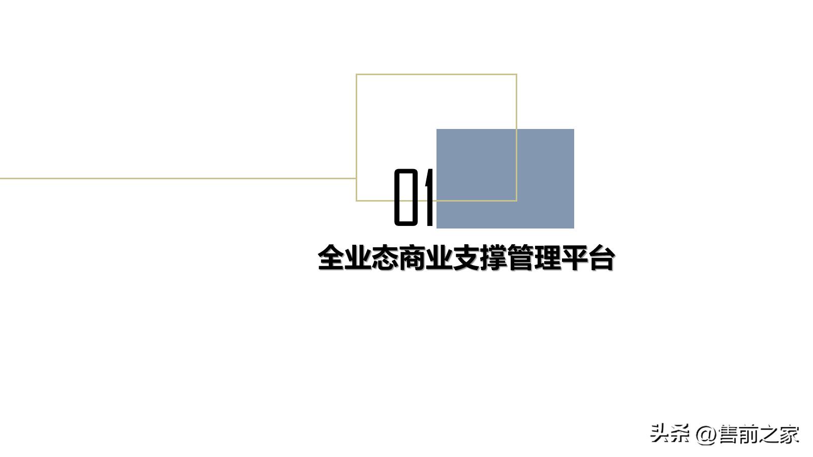 技术型商业运营方案,商业平台的管理和运营方案