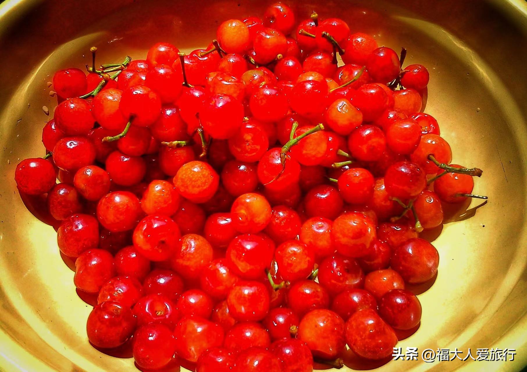 乐山自驾攀枝花五日游,四川川南环线自驾游攀枝花