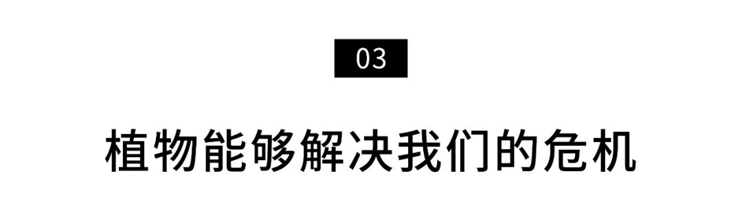 96岁还在奔波工作，这老爷子做出了今年9.8分神片