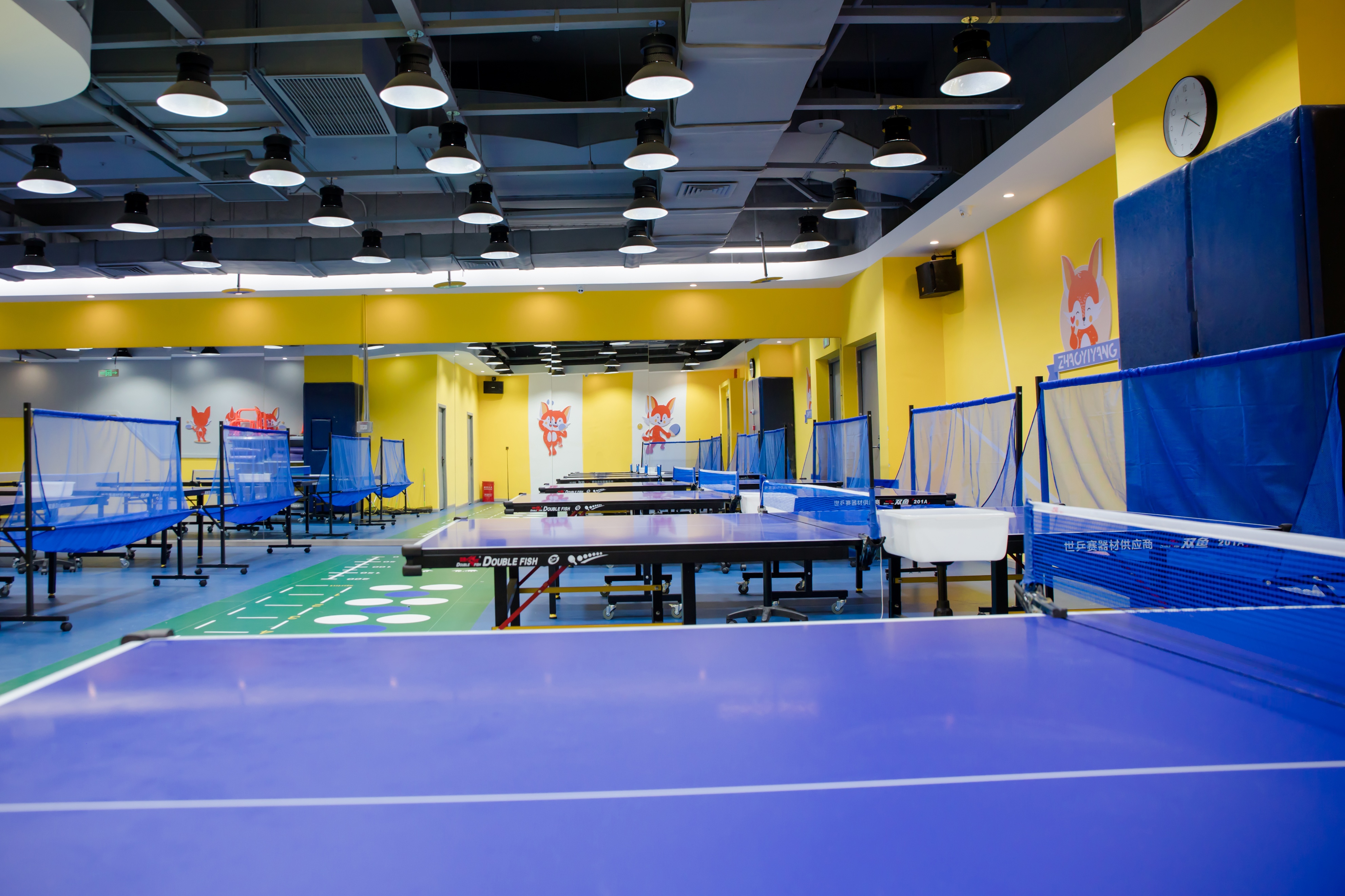 怎样让孩子坚持乒乓球运动,孩子学乒乓球要注意哪些要点