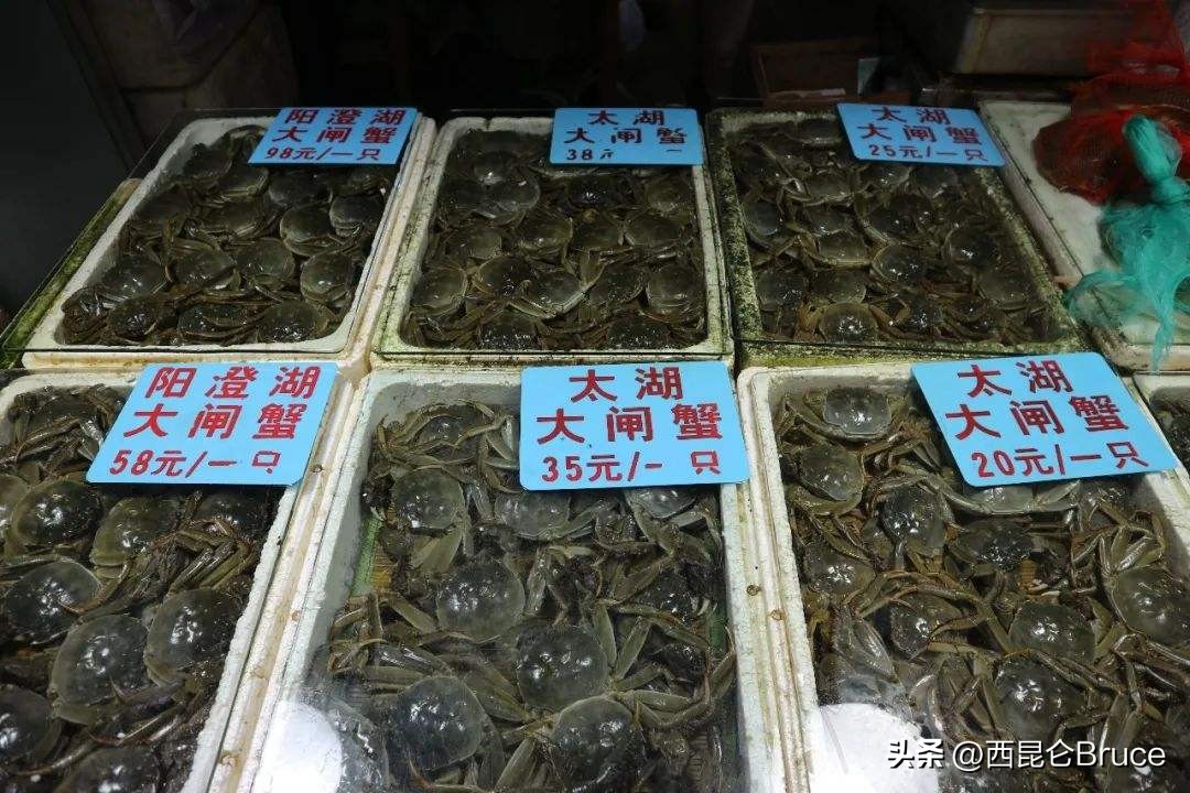 大闸蟹冬天涨价,持续高温干旱大闸蟹价格或涨一倍
