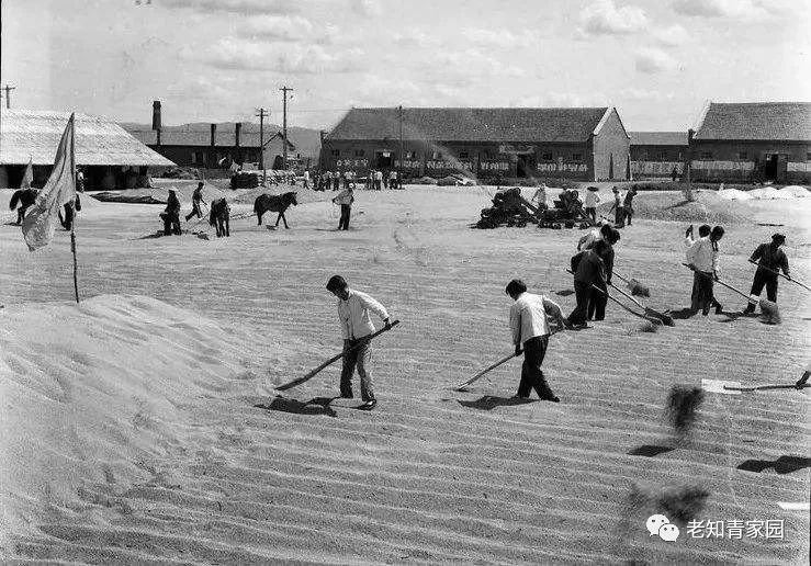 北大荒知青生活叙事诗——北大荒“游击词”100篇
