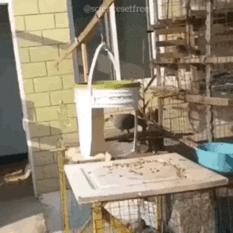 女朋友过生日送七夕礼物,女朋友送我生日礼物感动哭了