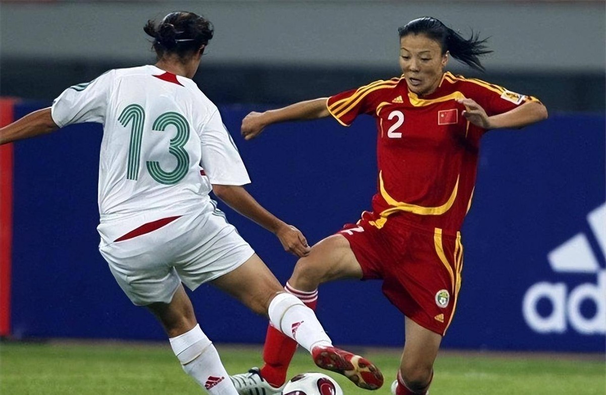 对河北女足张欧影的评价,女足名将张欧影现状