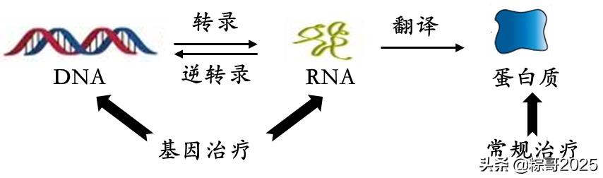 降维打击！全新的前沿赛道，注定占据未来高点的一批生科公司