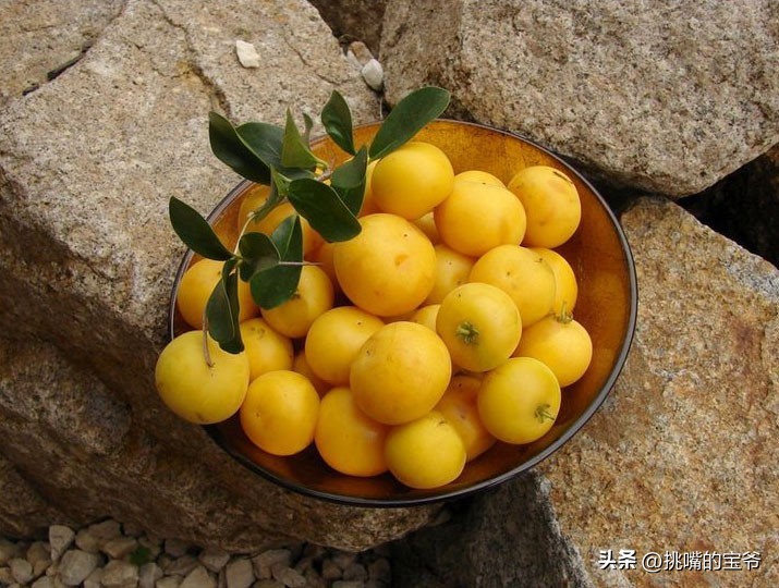 同在非洲大陆，同胞国家忍饥挨饿，它还出口牛油果、芝麻到中国