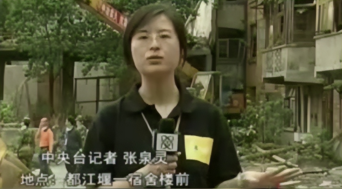 15年央视女神投资小伙画漫画历史，被讽钱多人傻，她却说：我赚了