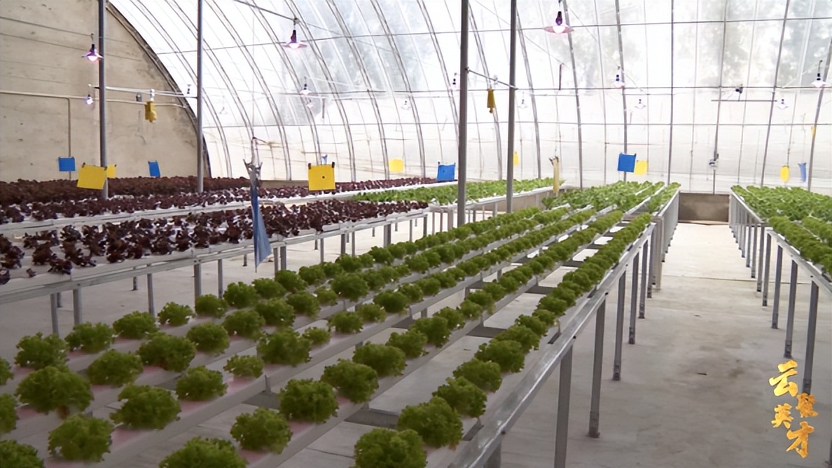 第七期乡村振兴致富带头人,乡村振兴致富带头人第二期