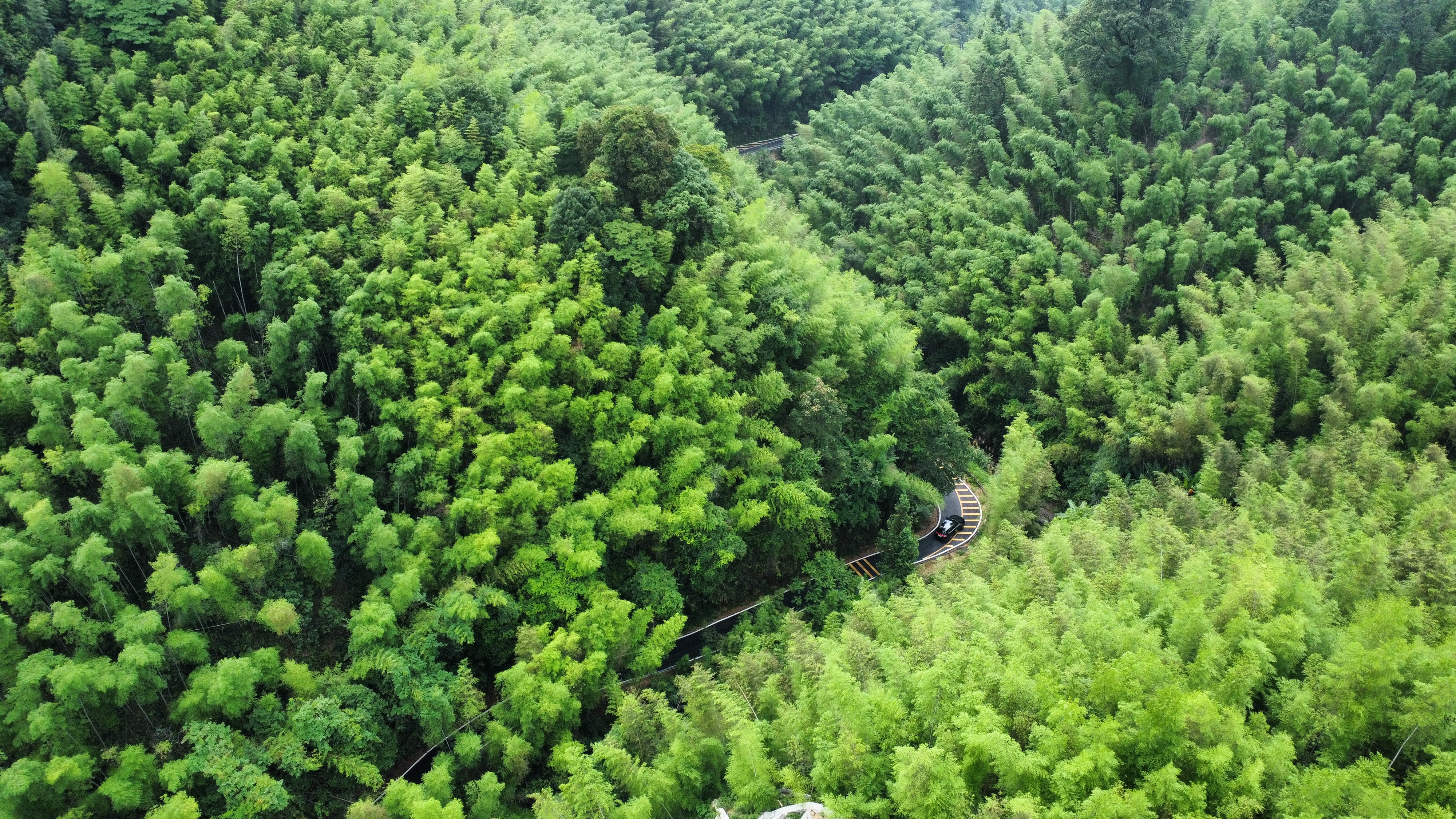 惠州夏日避暑胜地南昆山,惠州南昆山溯溪玩水的地方