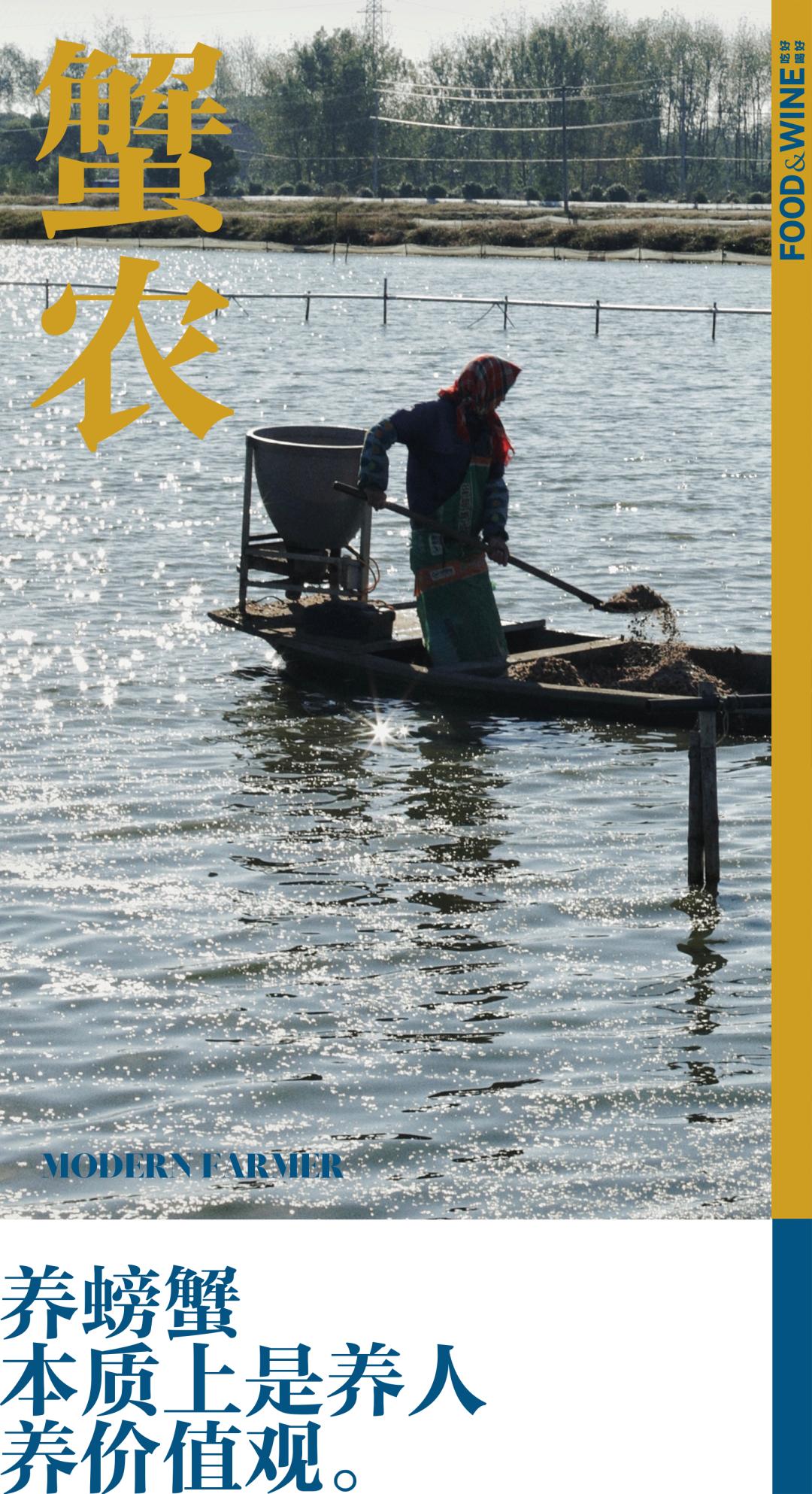 高邮湖的螃蟹怎么样,高邮湖螃蟹多少钱一斤