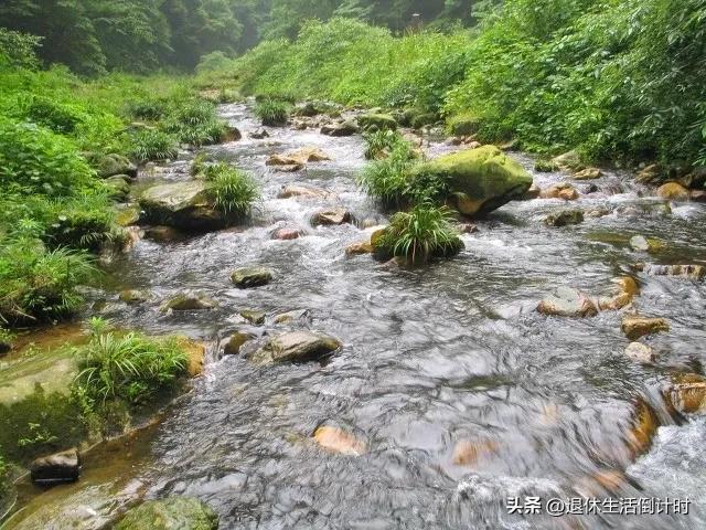 张家界旅游如何避免踩坑,张家界旅游购物坑