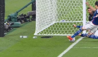 世界杯日本国足太太团曝光,世界杯日本美女太太团