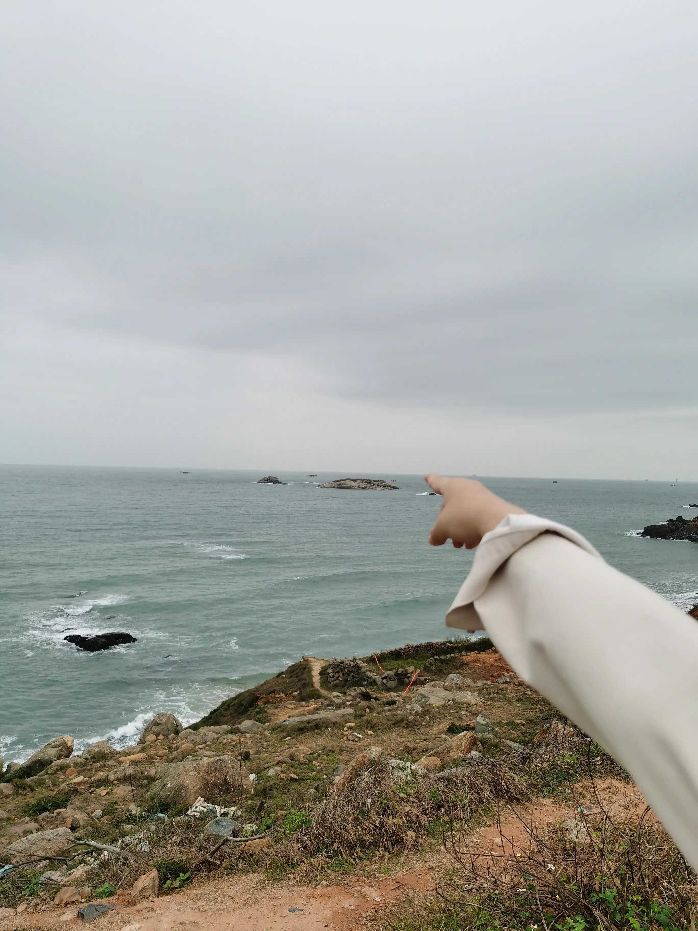 共享汽车租用如何操作,共享汽车租用