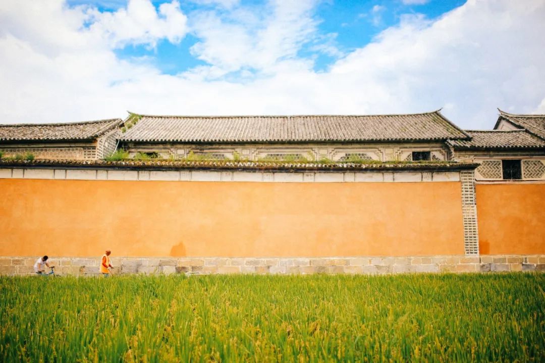 一起去有风的地方夏天,一起去有风有海的地方