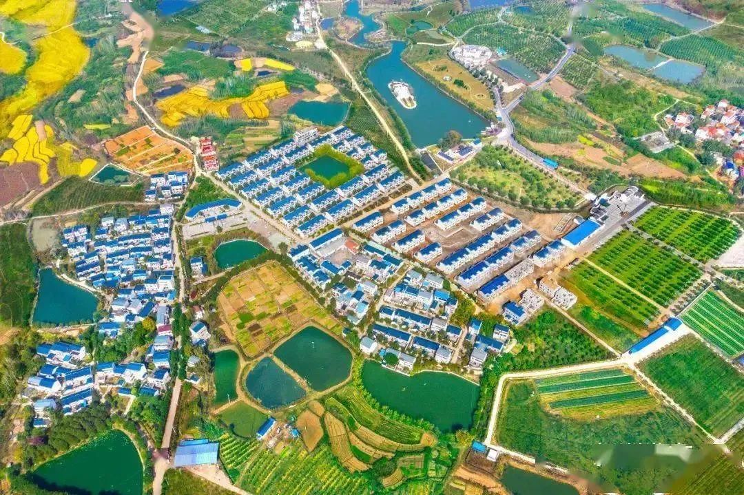 一街一品！乡村“玩”出新花样~