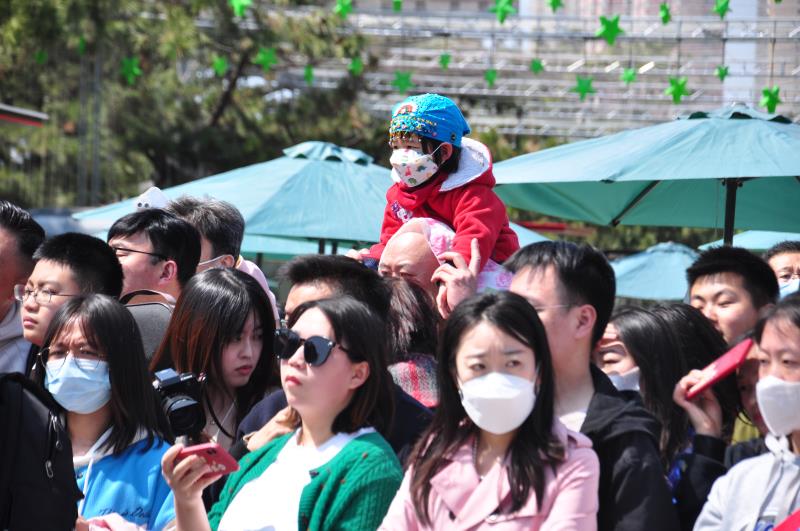 “青青之岛，爱乐之城”第十三场小提琴快闪活动精彩上演