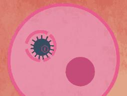 发生危险时缺乏有效措施,发生无保护措施后多久去检测疾病