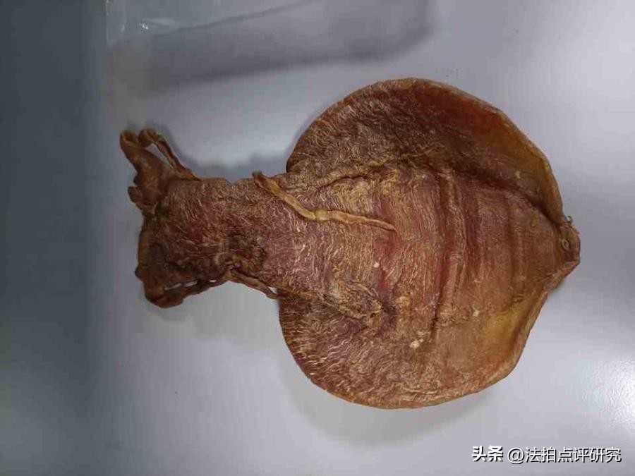 你相信吗？一只仅320g鱼胶在法拍网上竞然拍出300.9万元天价