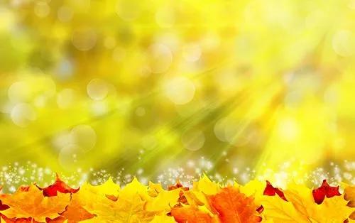 头条挑战赛：对《七律·秋兴（平水韵/孤雁出群格）》的引证解释