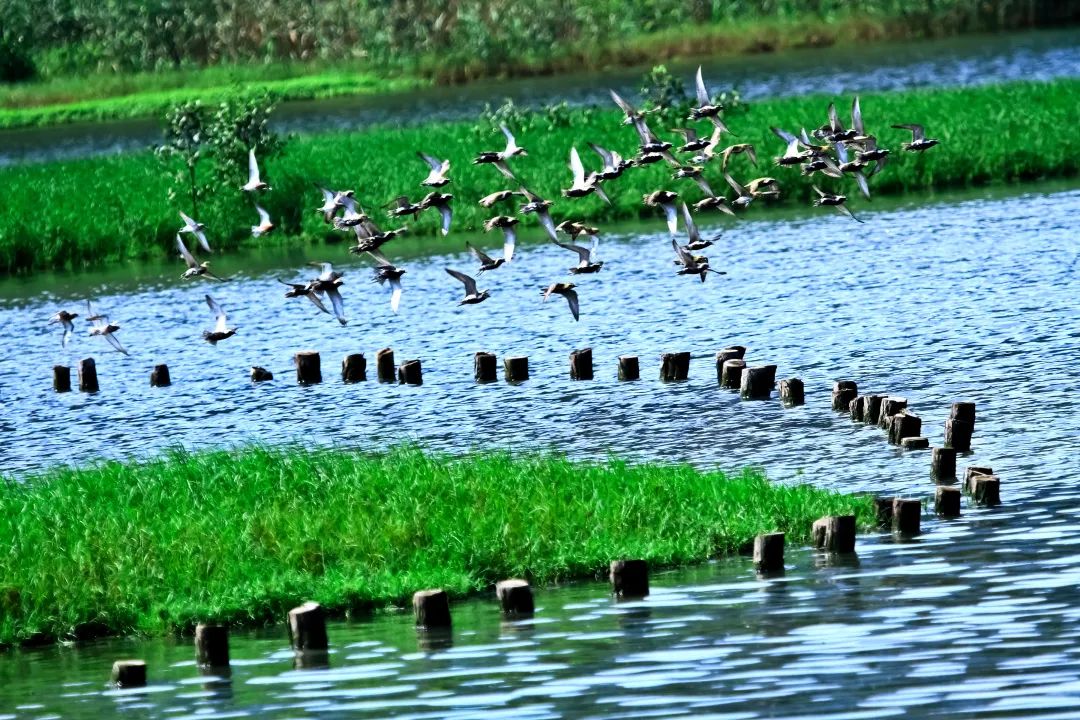 解码深圳,深圳解码