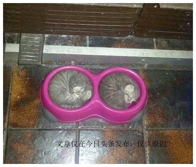 瞬间治愈强迫症这些照片超过瘾,治愈强迫症图片素材