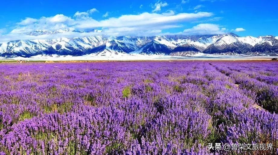 大美新疆的风景有哪些,大美新疆北疆美