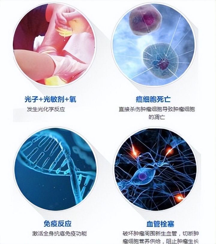 探索声波能否传递能量的实验,新型纳米材料在医学上的应用