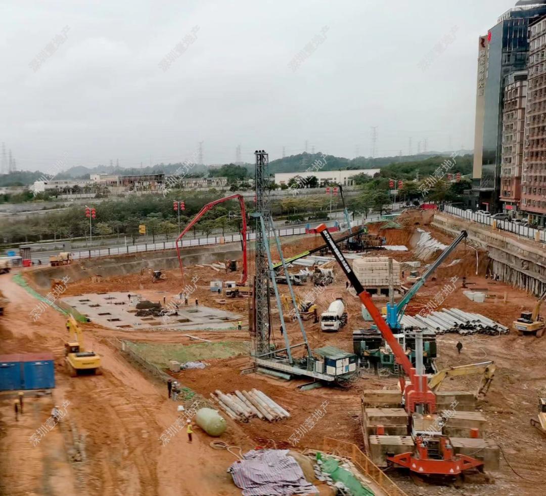 榫欏崕涔版埧鎸囧崡杩欎簺妤肩洏鍊煎緱鍏虫敞,娣卞湷榫欏崕涔版埧韪╅浄