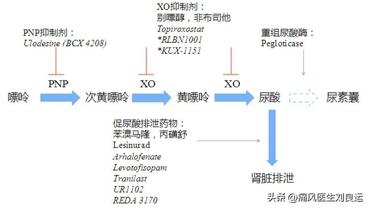 尿酸氧化酶治疗痛风效果好吗,非布司他含有尿酸氧化酶吗
