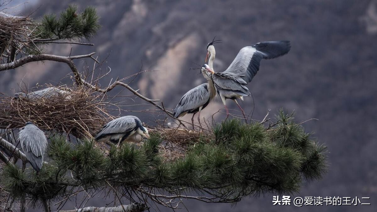 专家说女性独立导致生育率下降,生育率低是因为女性独立