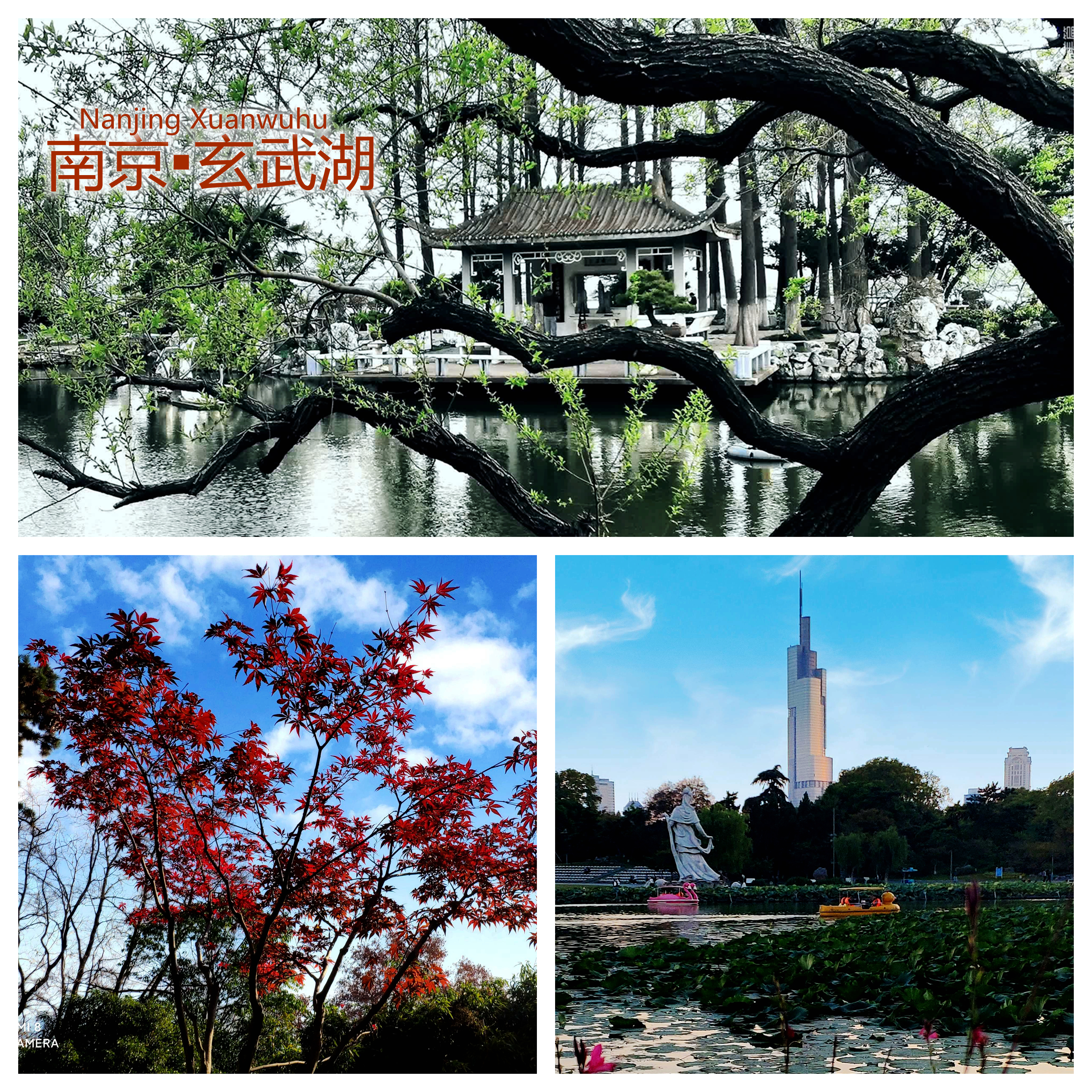 金陵明珠玄武湖,金陵明珠