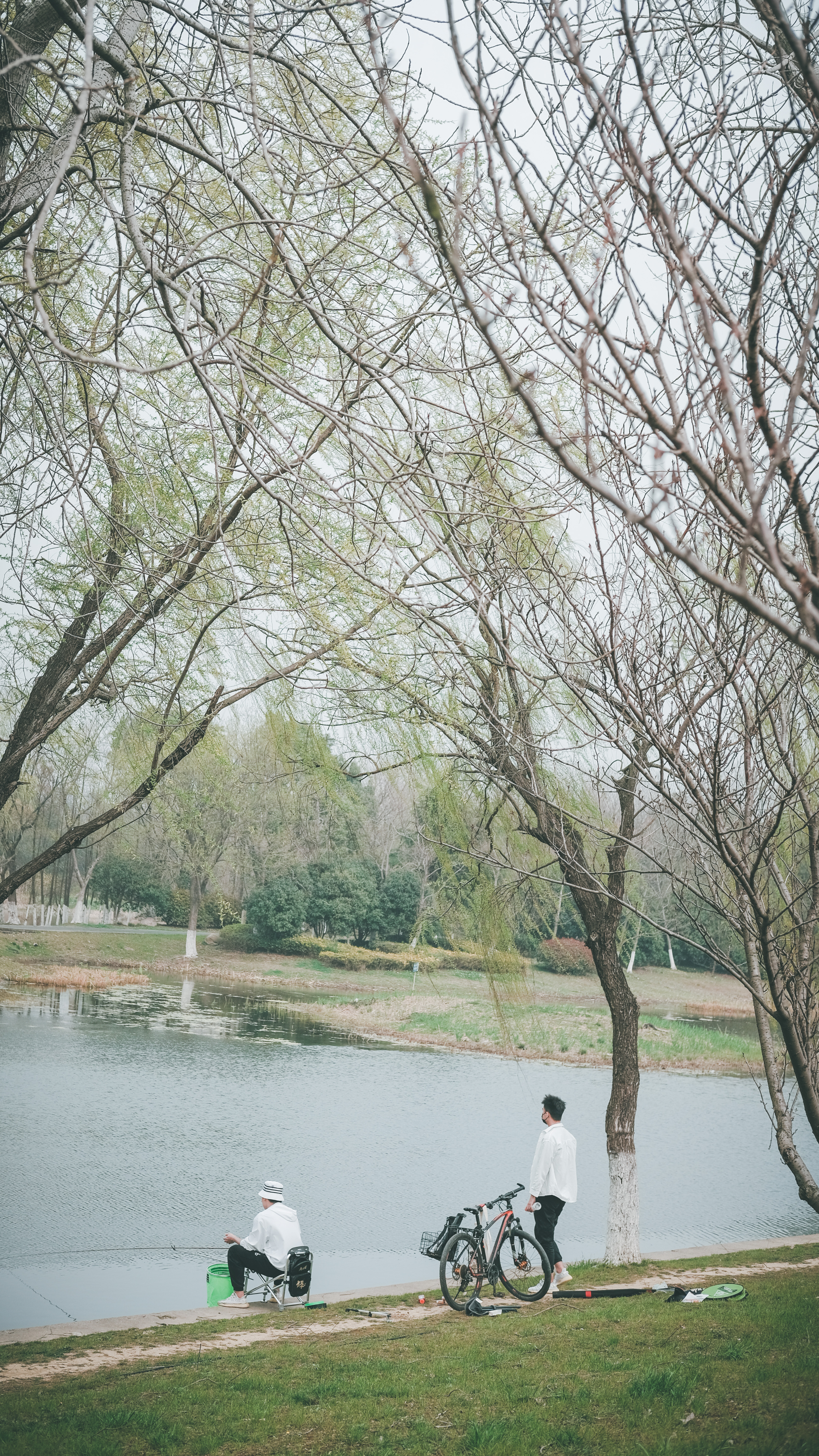 无锡踏青挖野菜好去处,无锡哪里可以挖得到野生的荠菜
