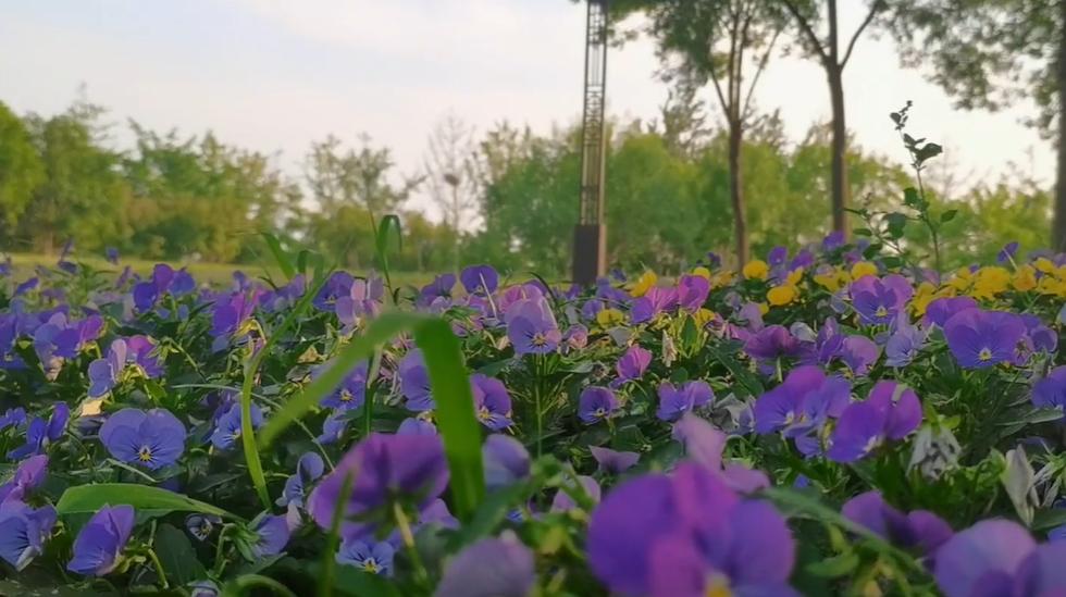 郑州出发暑假东北三省自驾游攻略,郑州出发山西自驾游线路推荐五天