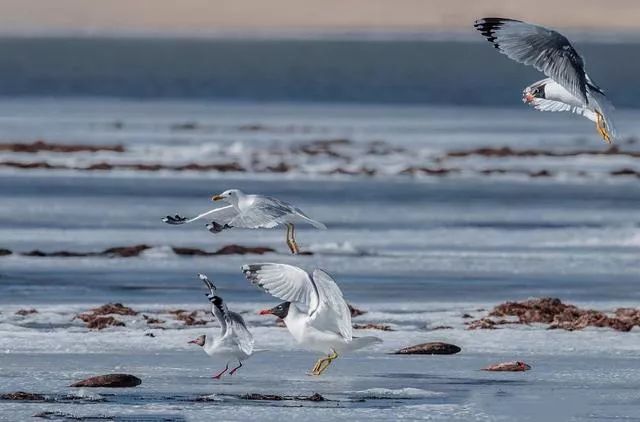 川西阿坝旅游详细攻略地图,川西阿坝旅游攻略三天