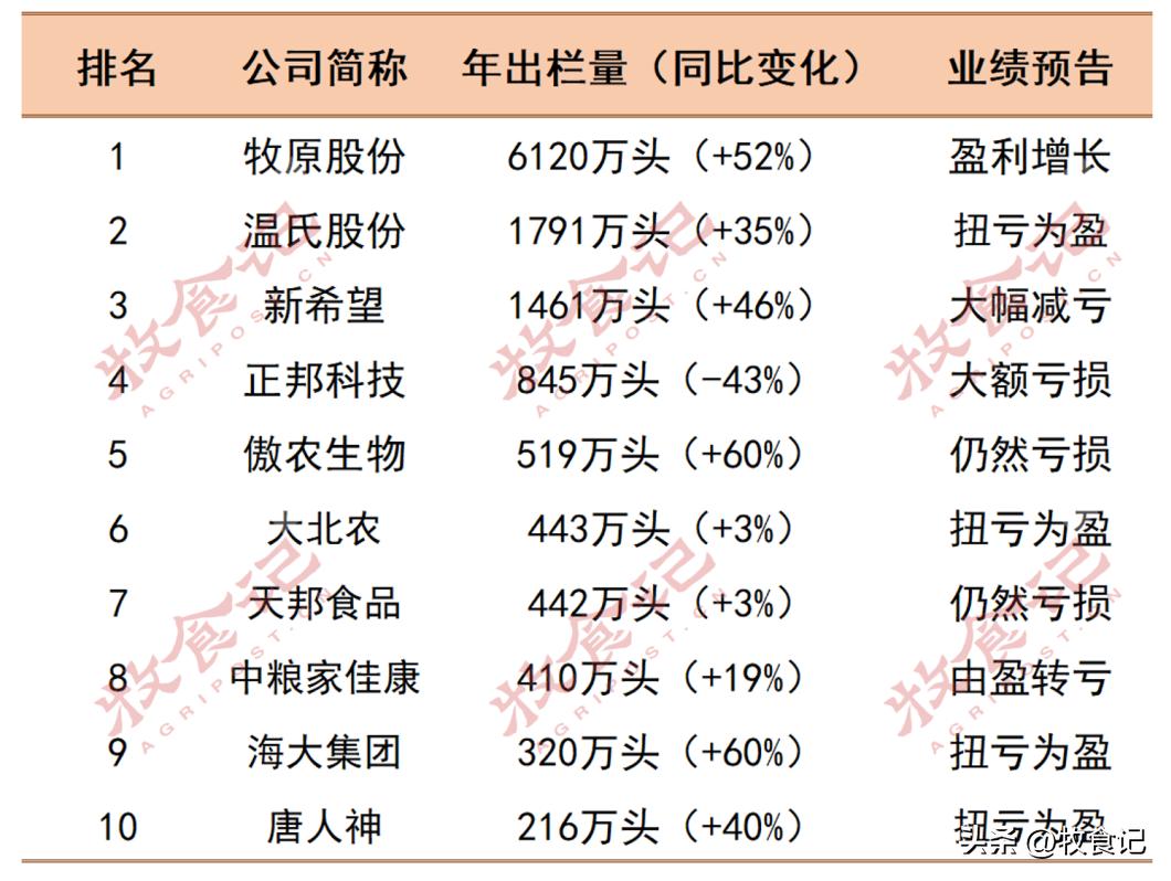 上市猪企上半年巨亏仅一家赚钱,中国十大猪企利润暴增