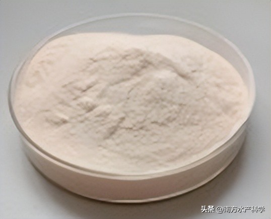 藻多糖功效,藻多糖的作用与功效