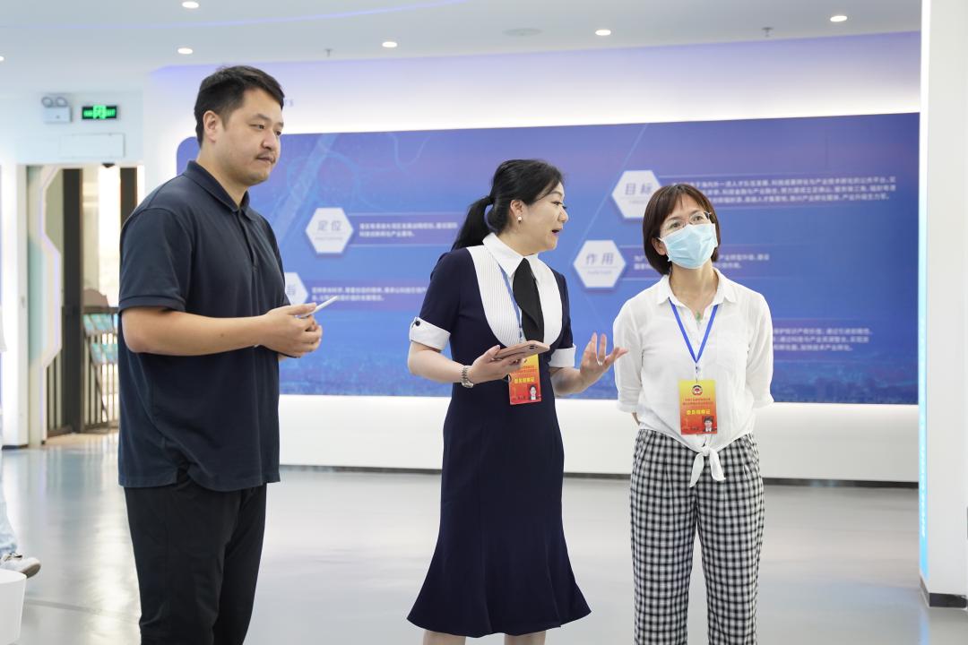 政协委员调研工作提案,政协委员关于县级经济发展提案