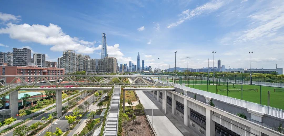 大湾区最大的“屋顶花园-将闲置屋顶变身深圳湾体育训练基地